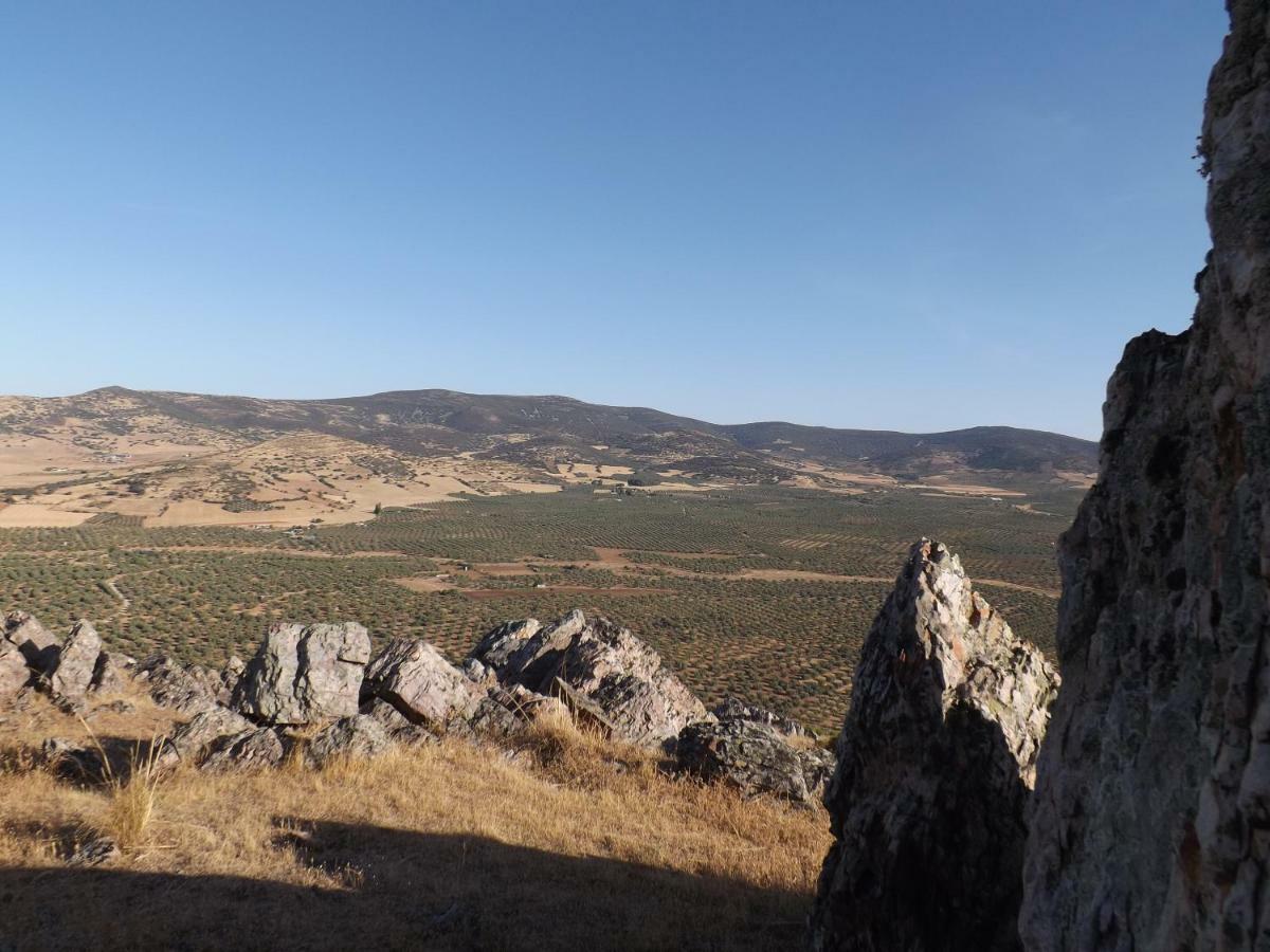 El Labriego, Casa Rural Фуэнте-эль-Фресно Экстерьер фото