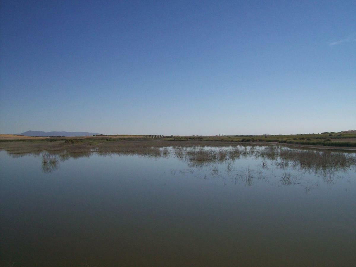El Labriego, Casa Rural Фуэнте-эль-Фресно Экстерьер фото